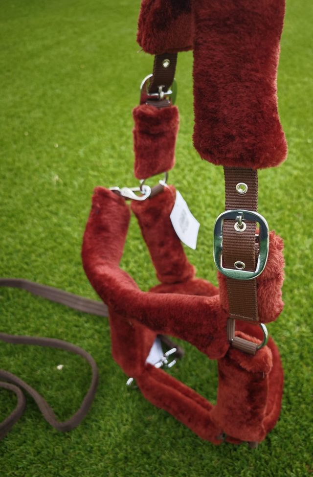 CABEZADA CUADRA BORREGUILLO + RAMAL NUEVO ENVIO