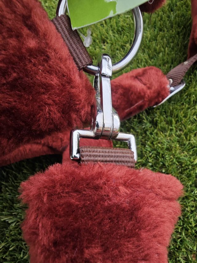 CABEZADA CUADRA BORREGUILLO + RAMAL NUEVO ENVIO