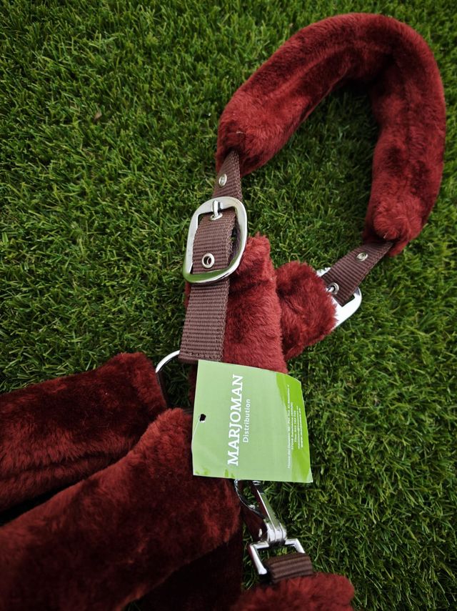 CABEZADA CUADRA BORREGUILLO + RAMAL NUEVO ENVIO