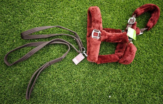 CABEZADA CUADRA BORREGUILLO + RAMAL NUEVO ENVIO