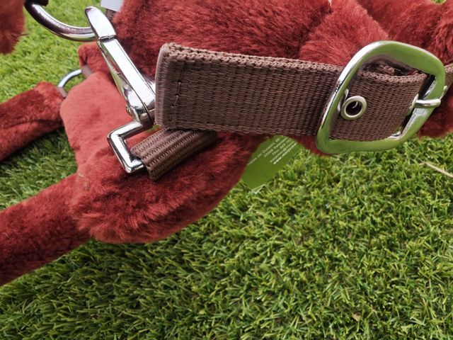 CABEZADA CUADRA BORREGUILLO + RAMAL NUEVO ENVIO