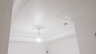 Pladur, Masilla y Pintura de Calidad