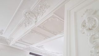 Pladur, Masilla y Pintura de Calidad