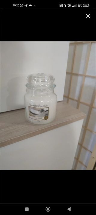 Candela Yankee