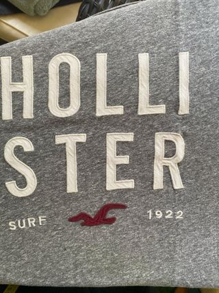 Camiseta chico Hollister