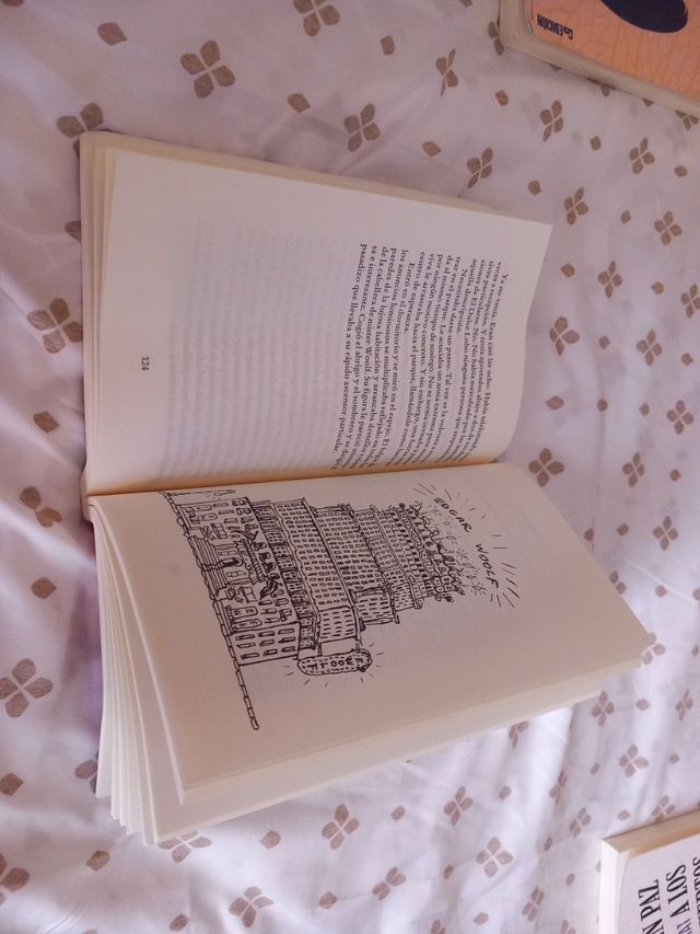 CAPERUCITA EN MANHATTAN