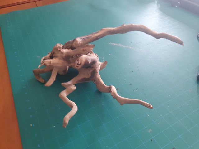 2 Raices tronco acuario