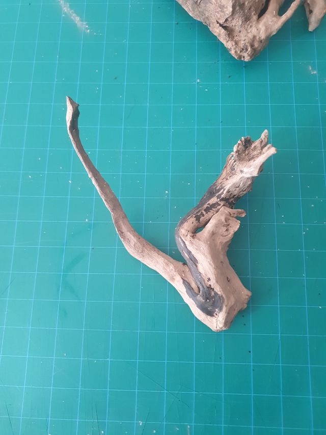 2 Raices tronco acuario