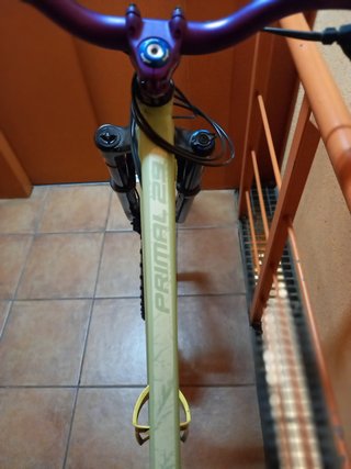 Cuadro Dartmoor primal 29