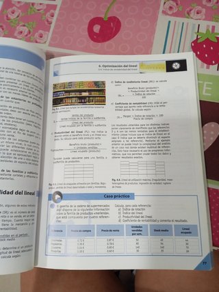 Animación en el punto de venta (Spanish Edition)