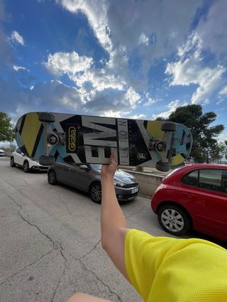 Skate Emilion Limit Edition