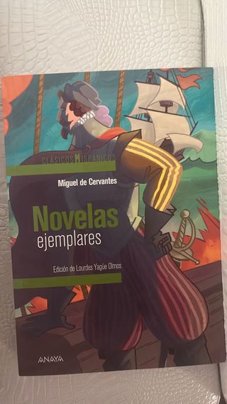 libro de novelas ejemplares