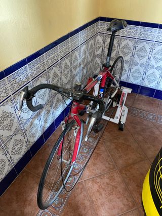Bucicleta y rodillo