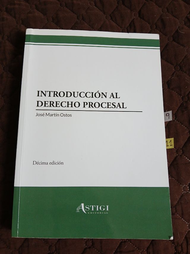 Introduccion al derecho procesal