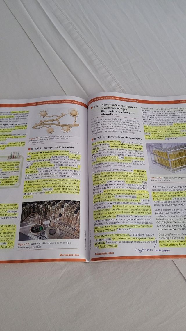 Microbiología Clínica (Paraninfo)