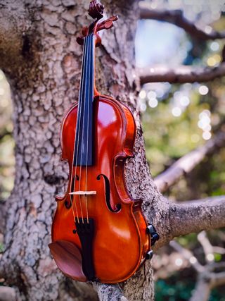 Viola 13 pulgadas. (3/4)