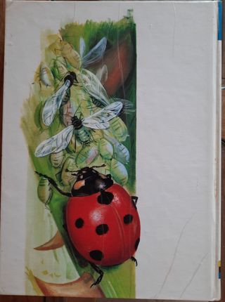 2 libros Los Animales y las Estaciones / Actividad