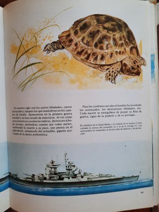 2 libros Los Animales y las Estaciones / Actividad