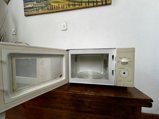 Forno a Microonde IGNIS
