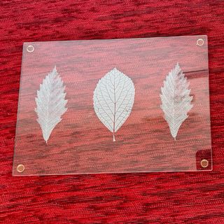 OPORTUNIDAD Placemats Salvamanteles 35x30