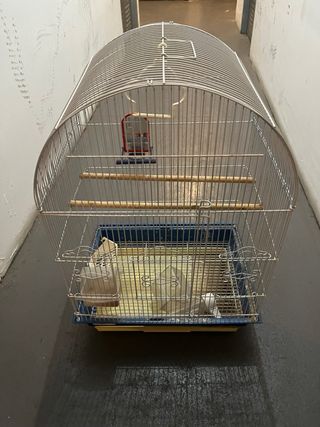 dos jaulas de periquitos