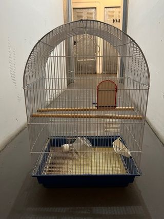 dos jaulas de periquitos