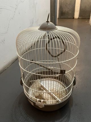 dos jaulas de periquitos