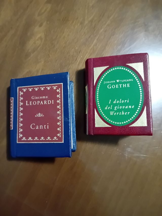 Miniature libri 