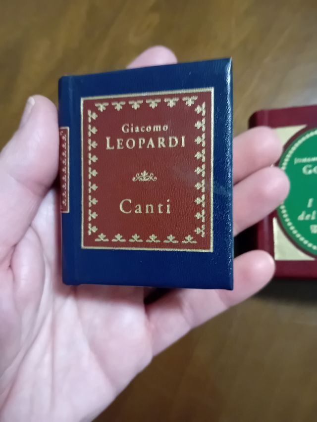 Miniature libri 