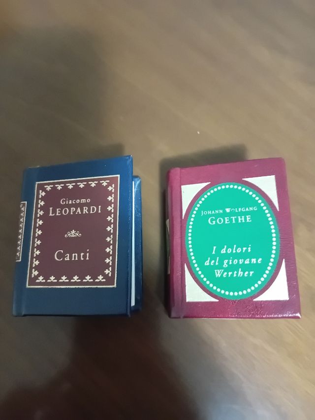 Miniature libri 