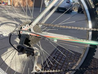 Mtb donna 26 montagna