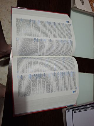 Diccionario de Secundaria y Bachillerato (Spanish Edition)