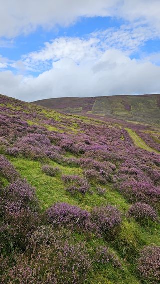 Busco trabajo en finca con casa