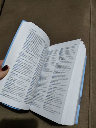 Diccionario francés español
