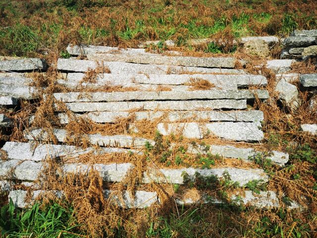 Postes/columnas granito y hormigón