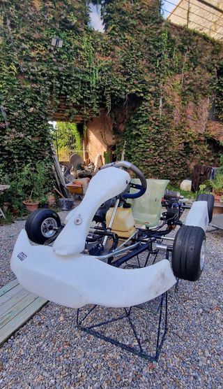 Kart cadete