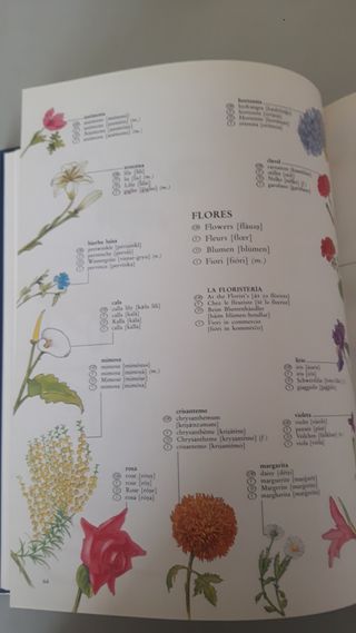 Diccionario múltilingüe : 5 idiomas