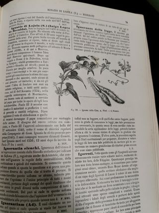 Libri Dizionario elementari 1905