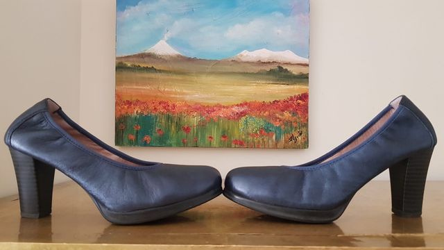 ZAPATOS SALÓN PITILLOS