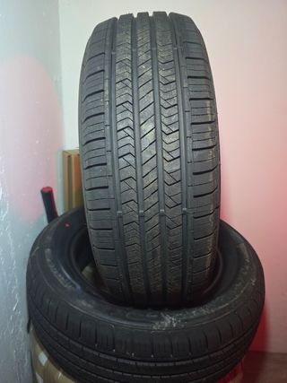 NEUMATICOS APTANY 225/60 R17 99V