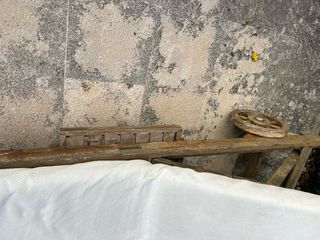 Tumbonas Greendesign 2 uds