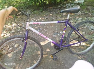 Bici shimano 