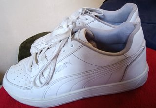 Bambas Puma nro.42