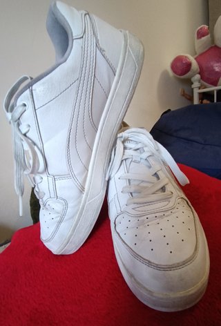 Bambas Puma nro.42