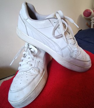 Bambas Puma nro.42
