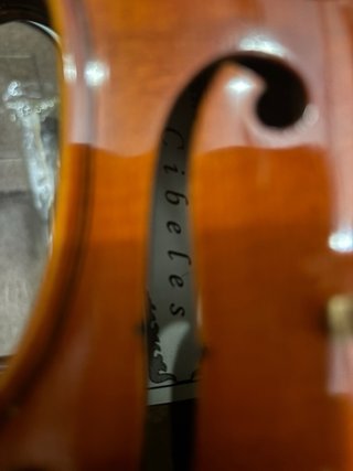 Violin Principiante
