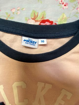 Lote 4 + 1 camisetas manga larga niña, talla 12-13