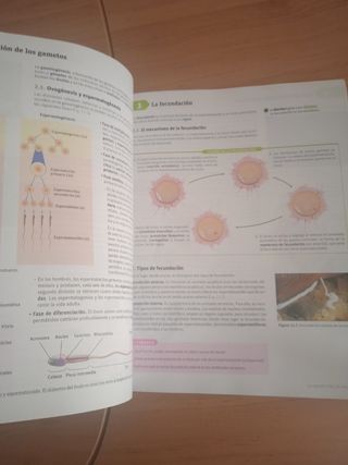 Libro biología y geología.1 bachill.15€