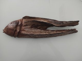 Pez artesano de Sándalo
