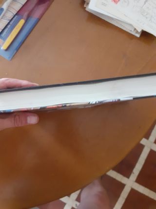 La Valencia de los años 70: Tal como éramos (Colección Luces de la ciudad) (Spanish Edition)